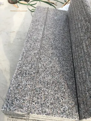 Material de construção 600*600mm e 300*600mm Escadas Pedra natural polida G361 Wulian Flower Granite Tile